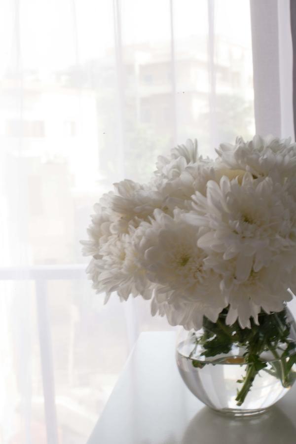 Aleph Boutique Hotel Byblos Dış mekan fotoğraf